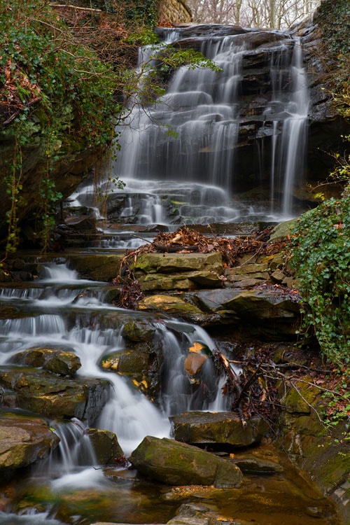 Nature and Landscapes photography by Todd Shaak