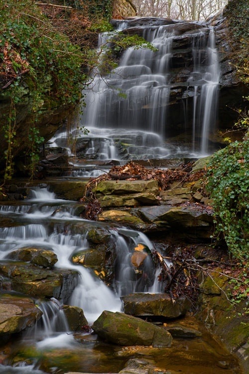 Woodland waterfall flowing over mossy rocks